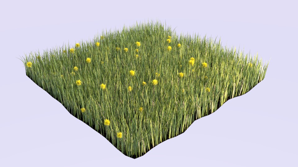 Cycles Grass & Dandelions preview image 1